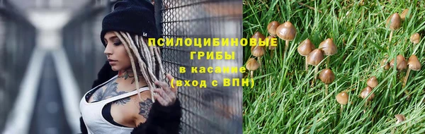 прущие грибы Алексеевка