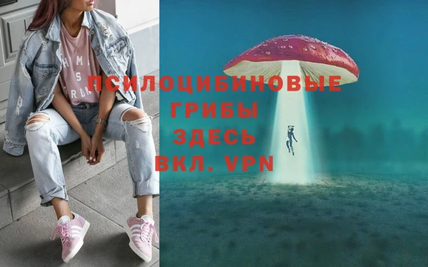 прущие грибы Алексеевка