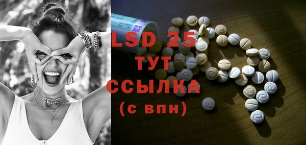 прущие грибы Алексеевка