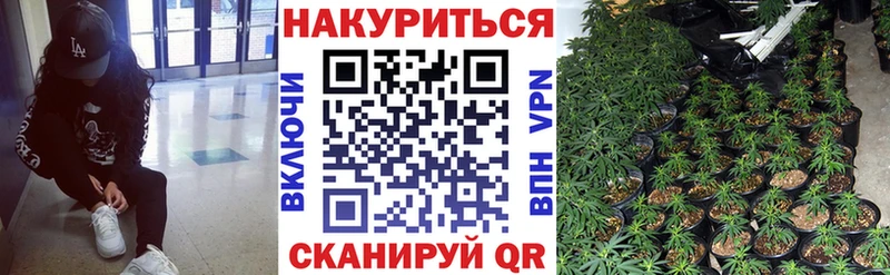 МАРИХУАНА Amnesia  Томск 